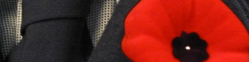 Poppy on Lapel