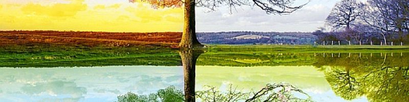 Four Seasons
